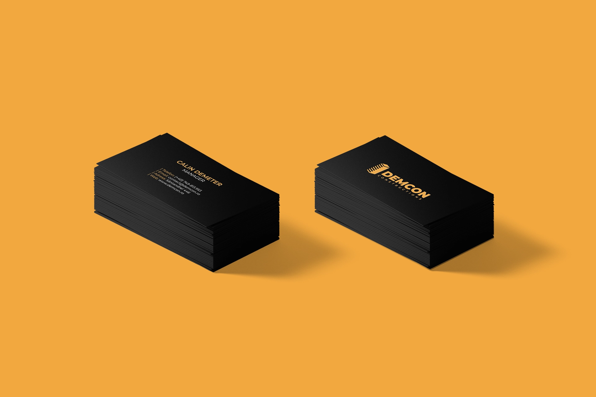 Demcon - Branding - Wolf Concept - Oradea